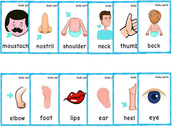 Set of(Body Parts+Insects) Flash Cards for Toddlers | Kids Learning Montessori Pocket Cards Toys | Perfect for Pre-K Decorations Background Wall Stickers,Teacher/Autism Therapists Tools