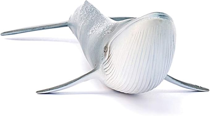 Schleich Wild Life Realistic Blue Whale Figurine - Authentic and Highly Detailed Aquatic Animal Toy, Durable for Education and Fun Play, Perfect for Boys and Girls, Ages 3+