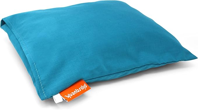 Pipsqueak Small | Tiny | Mini Pillow with Name Tag - 11in x 7in x 2.5in - Machine Washable - White Pillow with Personalized Blue Case