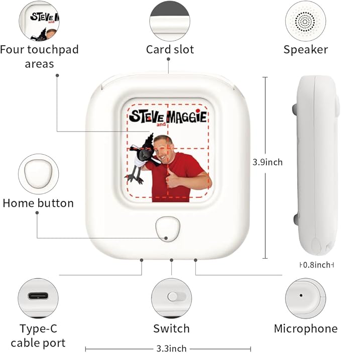 STEVE and MAGGIE Kids Toddler 321 Pcs Double Sided Talking Sight Word Flash Card,Montessori Toys,Speech Therapy,Cognition, Expressions, Logic,Autism Sensory Toys,Learning Educational Gifts for Boys