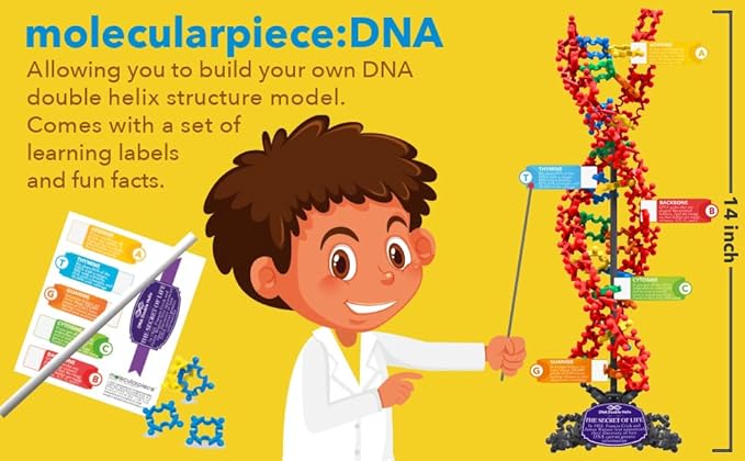 Secret of Life 3 in 1 (256 pcs) 4D STEM Educational Building Toy Kit | DNA Double Helix Structure Model + Marine Life + Dinosaur | Origin of Life | Evolution | Creative Science for Kid