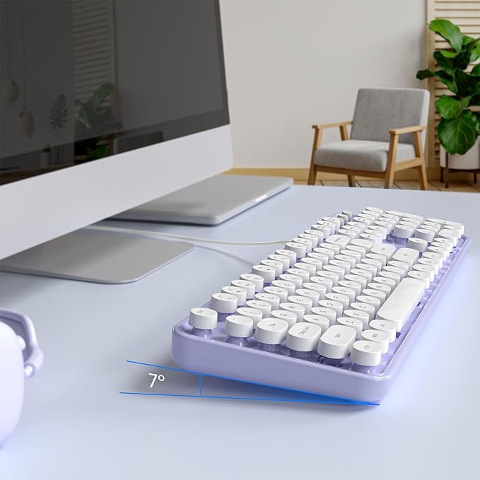 Wired Keyboard, Full-Sized Typewriter Keyboards, USB Plug and Play Office Keyboard with Number Pad, Caps Indicators, Foldable Stands for Windows, PC, Laptop, Desktop (Purple-White)