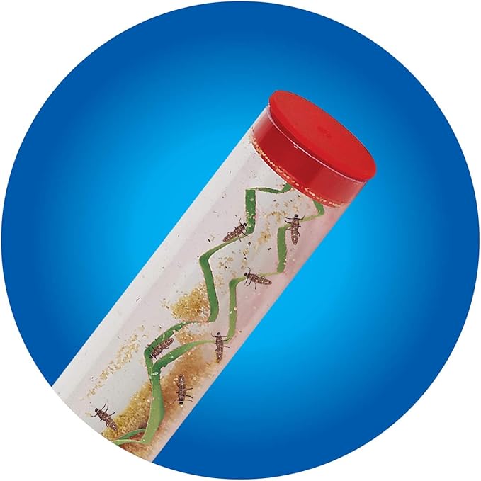 Insect Lore Live Ladybug Growing Kit | Ladybug Land Habitat | 10-15 Live Pink Spotted Ladybug Larvae Included