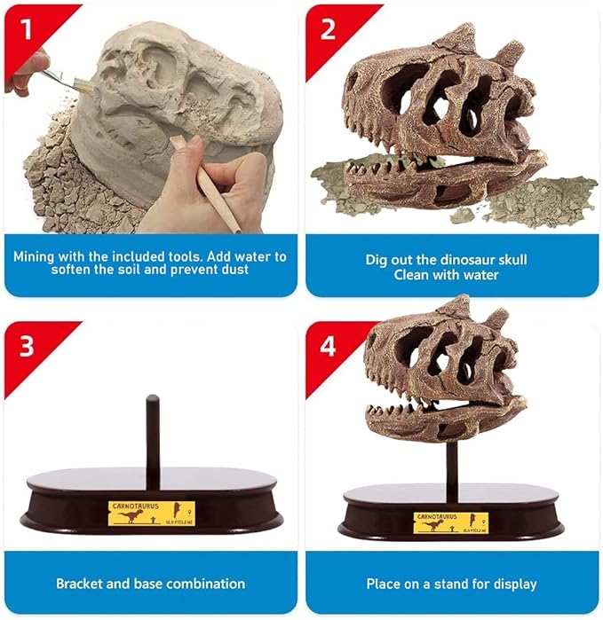 ArtCreativity Dinosaur Excavation Kit for Kids, Carnotaurus Skull Excavating Set with Fossil Digging Tools and Stand, Fun Science Activity Toy, Educational Dinosaur Gift for Boys and Girls