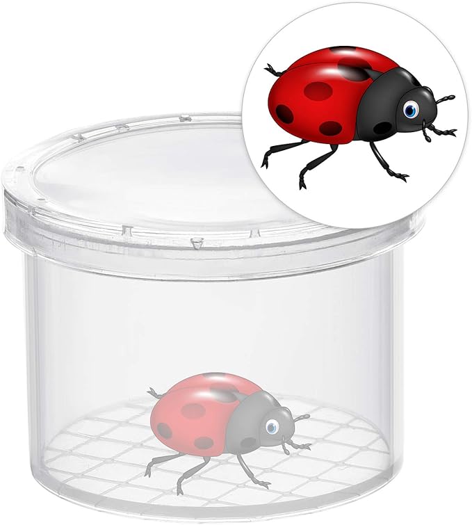 Coopay 20 Pieces Bug Viewer Critter Insect Cage Magnifying Insect Box Bug Magnifier Container Bug Catcher Cage, Science Nature Exploration Tools