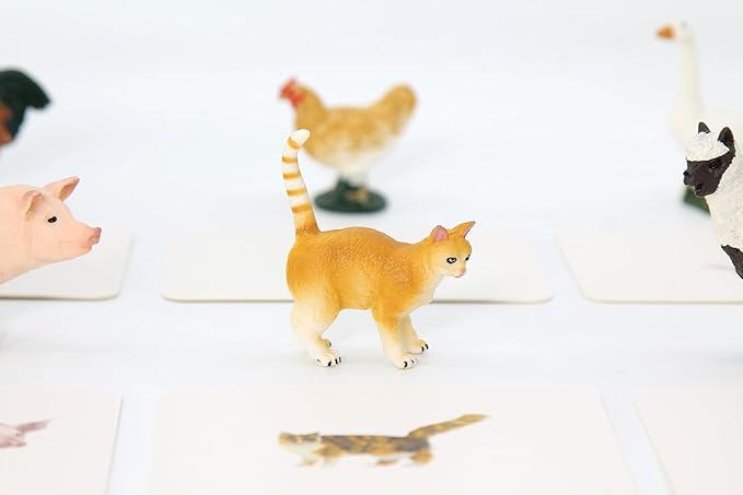 Montessori Language Materials Objects with Similar Cards 12pcs Mini Farm Animal Replicas with Matching Picture Cards Preschool Science Education Matching Game