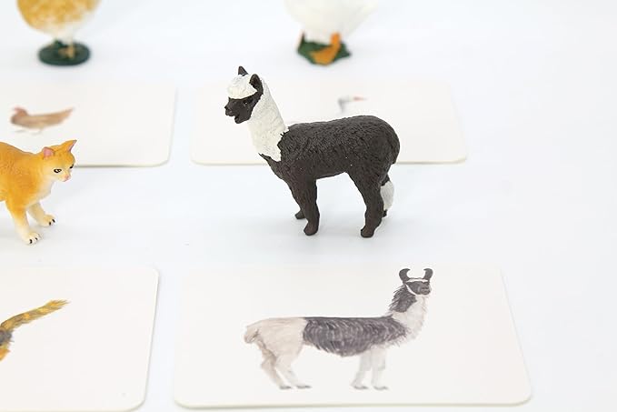 Montessori Language Materials Objects with Similar Cards 12pcs Mini Farm Animal Replicas with Matching Picture Cards Preschool Science Education Matching Game