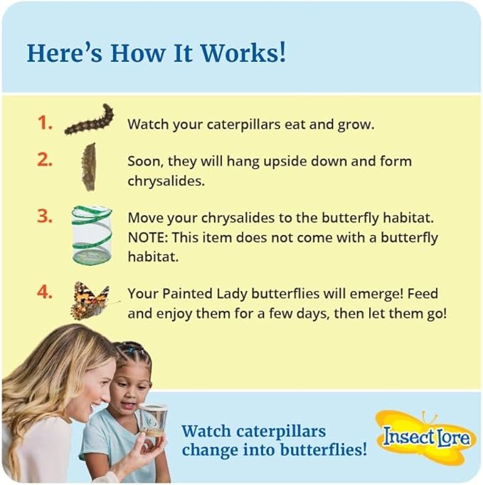Insect Lore Two Cups of Live Caterpillars with Butterfly Life Cycle Figurines | Butterfly Habitat or Kit Refill | Painted Lady Butterflies