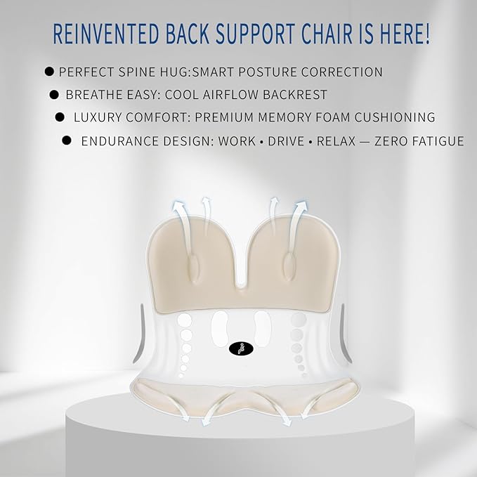 Ergonomic Back Support for Office Chair Cushion with Lumbar Pillow, Posture Corrector for Desk Chairs, Comfortable Memory Foam Seat Cushion for Lower Back Pain Relief, Beige