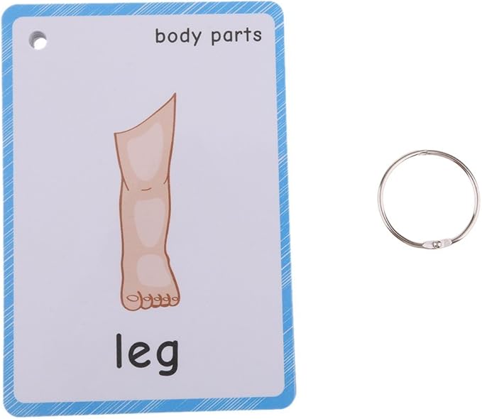 Set of(Body Parts+Insects) Flash Cards for Toddlers | Kids Learning Montessori Pocket Cards Toys | Perfect for Pre-K Decorations Background Wall Stickers,Teacher/Autism Therapists Tools