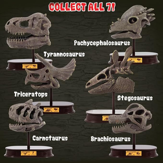 ArtCreativity Dinosaur Excavation Kit for Kids, Velociraptor Skull Excavating Set with Fossil Digging Tools and Stand, Fun Science Activity Toy, Educational Dinosaur Gift for Boys and Girls