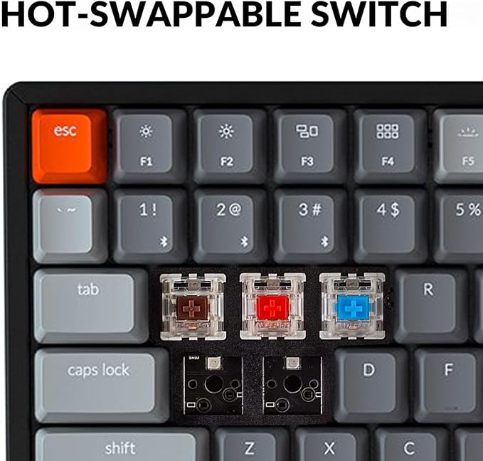 Keychron K4 Bluetooth Wireless Mechanical Keyboard RGB LED Backlit, Hot-swappable Compact 100 Keys USB Wired Computer Gaming Keyboard Aluminum Frame for Mac Windows, Gateron Blue Switch