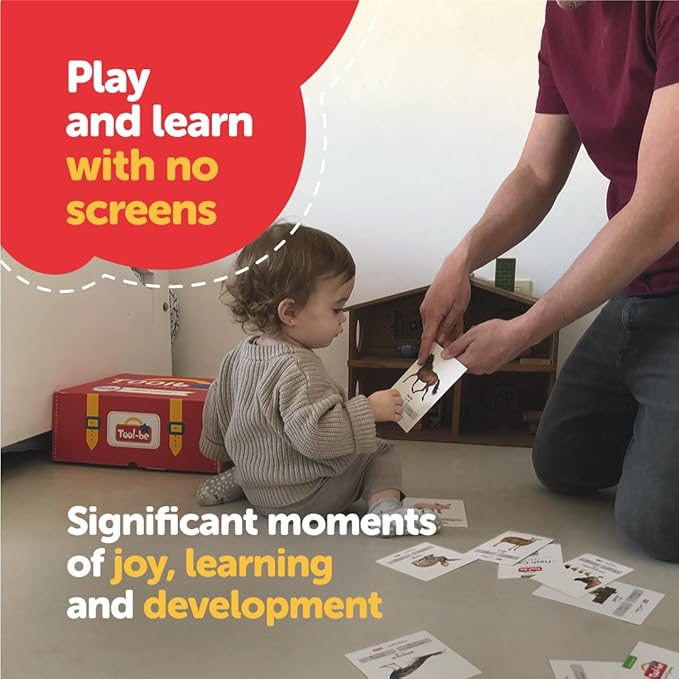 Tool-be Bilingual Animal Flash Cards, 3 Pack with 54 Real Photos of Farm, Aquatic, and Wild Animals, Spanish-English Educational Toys, Sight Words Flash Cards, Ages 6 Months to 6 Years