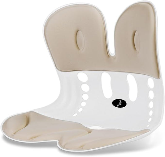 Ergonomic Back Support for Office Chair Cushion with Lumbar Pillow, Posture Corrector for Desk Chairs, Comfortable Memory Foam Seat Cushion for Lower Back Pain Relief, Beige