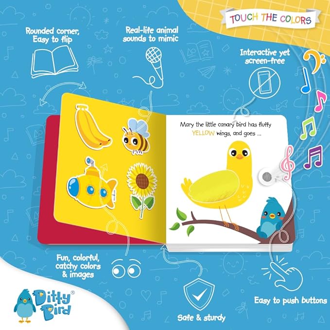 DITTY BIRD Touch & Feel Colors Edition Musical Books | Fun Montessori Toys & Learning Resources | Sensory Toys for Kids | Interactive Toddler Books for 1 Year Old to 3 Year Olds | Sturdy Baby Book