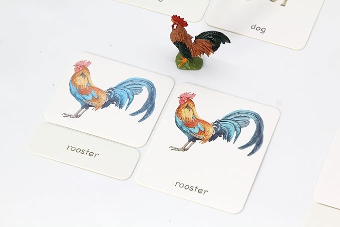 12pcs Farm Animal Replicas with Matching Montessori 3-Part Cards Language Learning Material