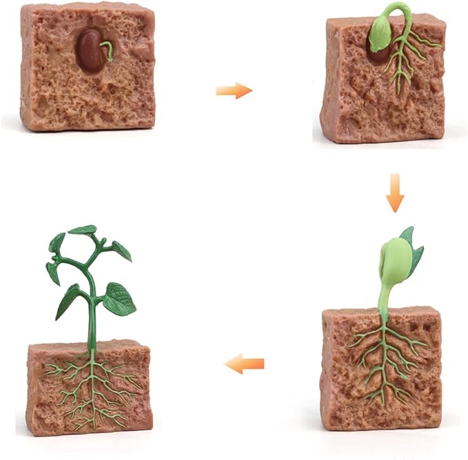 Montessori Animal Match Game Cards Marine Animal Matching Montessori Language Materials Toddlers Preschool Educational Learning Toys Language Materials Shape Sorting Toy