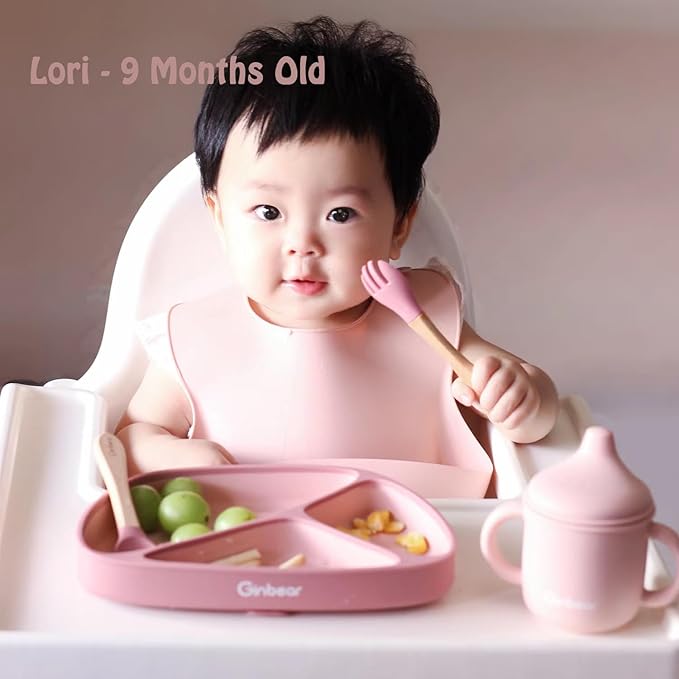 Ginbear Silicone Baby Spoon and Fork Self-feeding, Baby Flatware Sets for Girl, Toddler Feeding Utensils for Child 6 Months+ (Mauve/Pink)