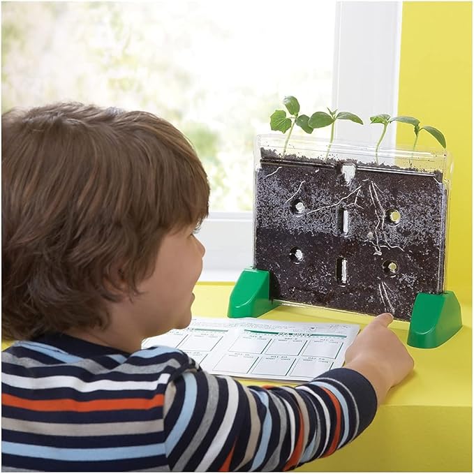 Educational Insights Sprout & Grow Window Plant Growing Kit, Science Kit for Homeschool & Classrooms, Ages 5+