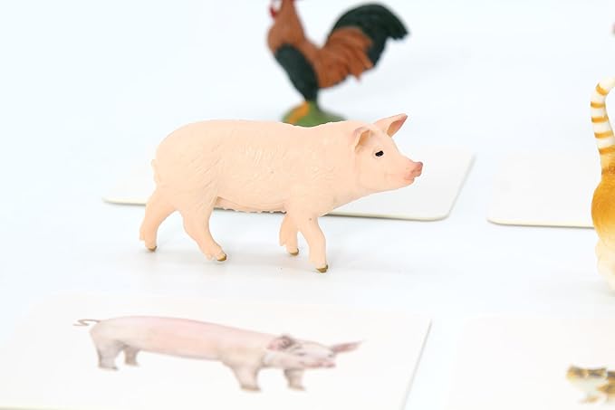 Montessori Language Materials Objects with Similar Cards 12pcs Mini Farm Animal Replicas with Matching Picture Cards Preschool Science Education Matching Game