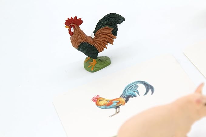Montessori Language Materials Objects with Similar Cards 12pcs Mini Farm Animal Replicas with Matching Picture Cards Preschool Science Education Matching Game