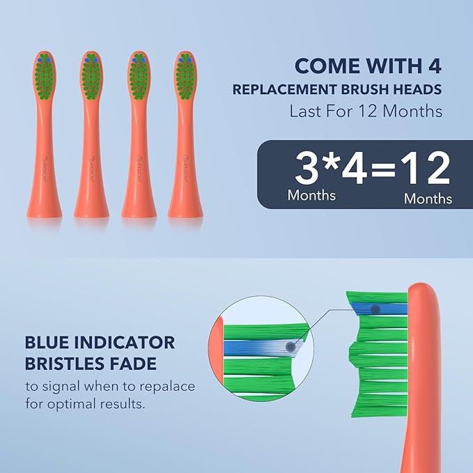 ARISSON Sonic Electric Toothbrush for Adults and Kids, 40,000 VPM Power Toothbrush, 1.5H Fast Charge Ultrasonic Electric Toothbrushes with 2 Minutes Smart Timer, 1.6 Oz Travel Toothbrush, Peach Orange