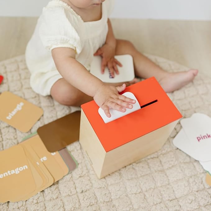 Learn & Drop Toddler Toy, Montessori Learning Games, 50 Preschool Flashcards for Toddlers 1-3, Learning Resources, Toddler Toys 2-3, Sight Word Flash Cards, Kindergarten Classroom Must Haves