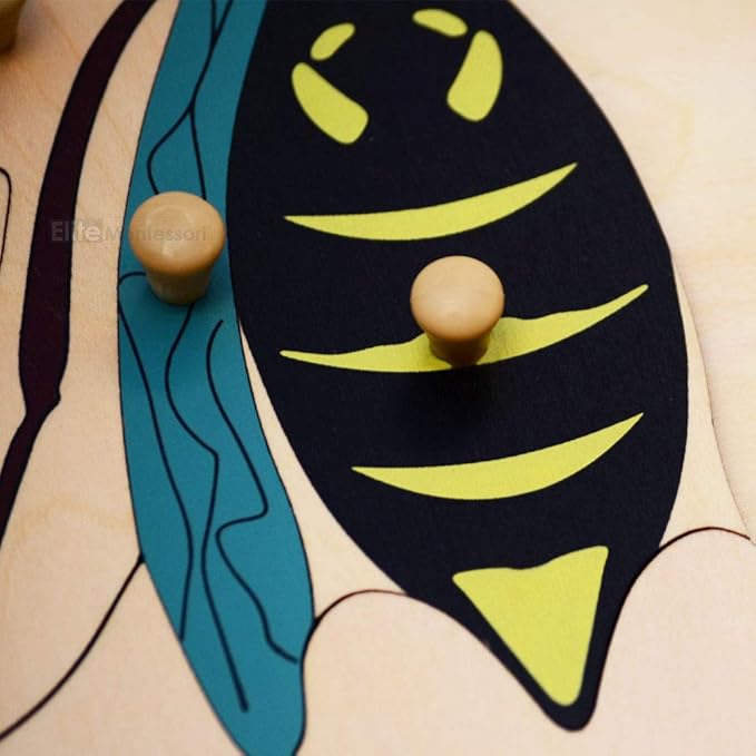 Elite Montessori Wasp Puzzle