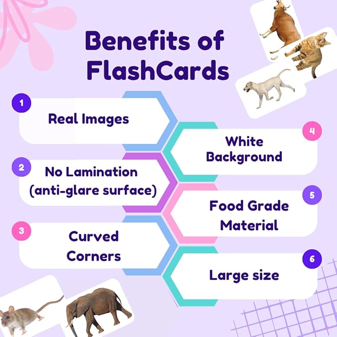 hungry brain Flash Cards for Toddlers, 24 Domestic Animals Flashcards, Double-Sided, Montessori, Educational, Kindergarten - Preschool Learning Activities, Gifts for Kids, 1, 2, 3, 4 Years Babies
