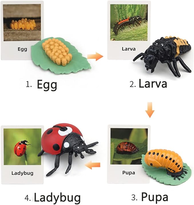 Montessori Animal Match Game Cards Marine Animal Matching Montessori Language Materials Toddlers Preschool Educational Learning Toys Language Materials Shape Sorting Toy