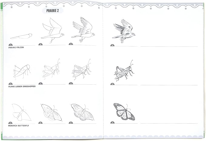 eeBoo: Learn to Draw - Bugs, Birds & Butterflies - 32 Page Activity Book & 50 Stickers Set, Fun Nature-Themed Step-by-Step Drawing & Coloring, Kids 5+