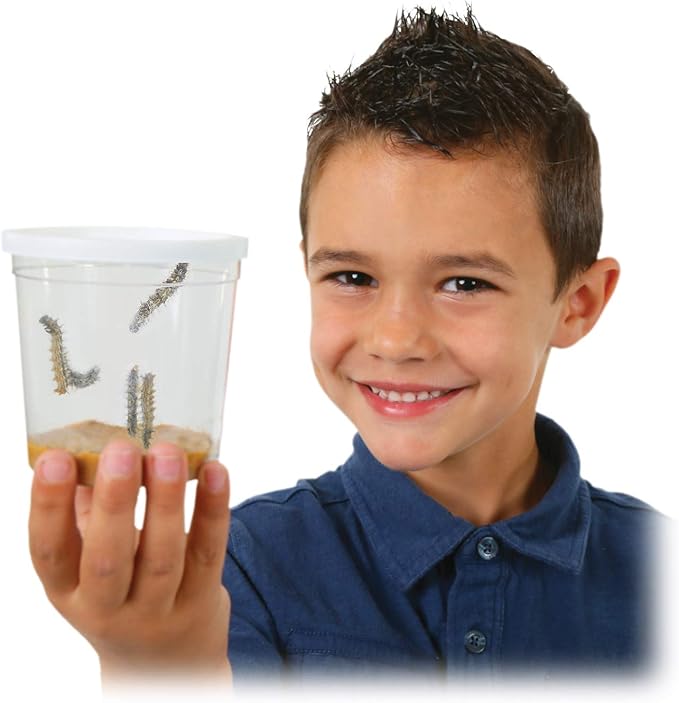 Insect Lore Cup of Caterpillars™ Basic | 5 Live Baby Painted Lady Caterpillars | Refill for Habitat Kit | Caterpillars and Food Included