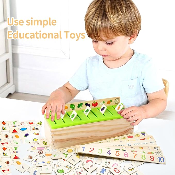 Wooden Montessori Toys for Toddlers Learning Activities Sorting Box Educational Toys Preschool Kindergarten Games Autism Toys for Girls Boys Age 3 4 5 6 Year Old Kids Birthday Gift