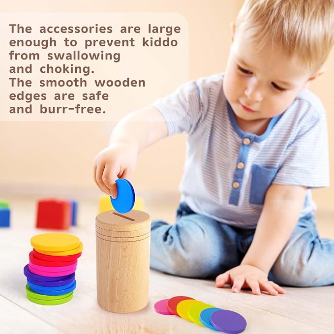 Richtim Wooden Montessori Toy for Toddlers 2-6 Years (One-Slot Color Sorting Toy)