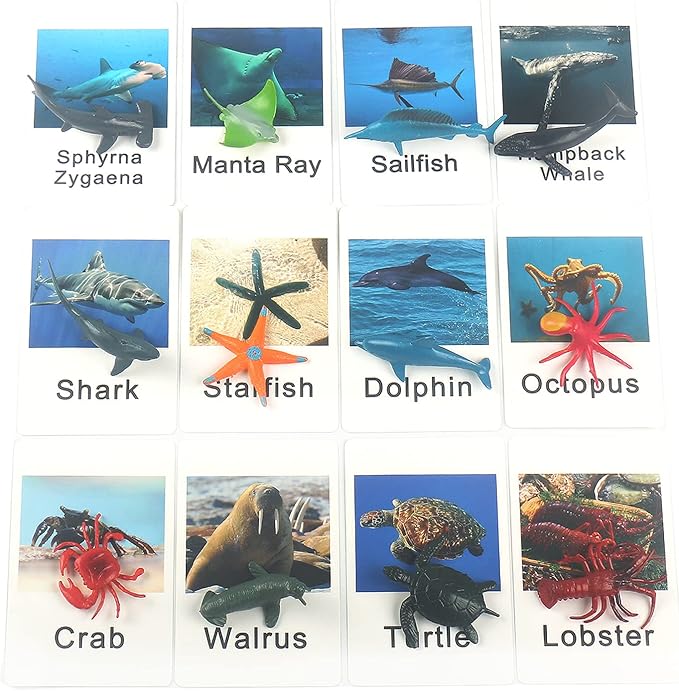 MEROCO Montessori Animal Match Game Cards Marine Animal Matching Montessori Language Materials Toddlers Preschool Educational Learning Toys NEWT011