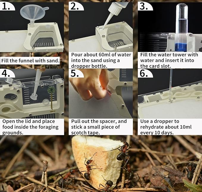 Ant Farming Castle, Habitat Science Learning Kit, Farms for Live Ants, Colony Educational Toy Kit Kids