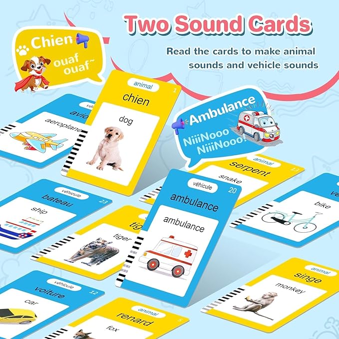 French & English Talking Flash Cards for Toddler 1-6 Year Olds, Learning Montessori Toys with 224 Sight Words, Speech Therapy Toys, Children's Sensory Preschool Learning Educational Birthday Gifts