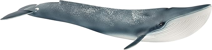 Schleich Wild Life Realistic Blue Whale Figurine - Authentic and Highly Detailed Aquatic Animal Toy, Durable for Education and Fun Play, Perfect for Boys and Girls, Ages 3+