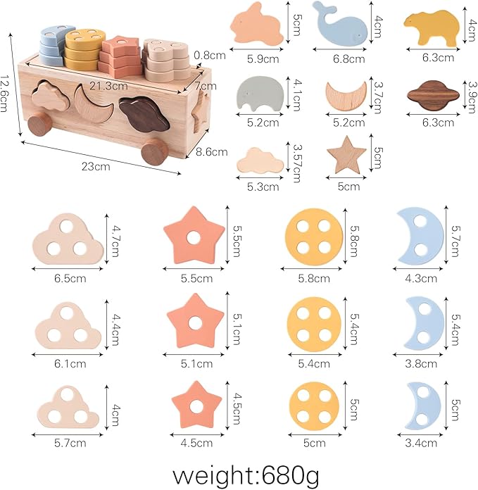 Shape Sorter Toy for Toddlers, Montessori Toy for 1 2 3 Year Wooden Sorting & Stacking Toys, Shape & Color Recognition Preschool Educational Toy Learning Activities for Boys Girls