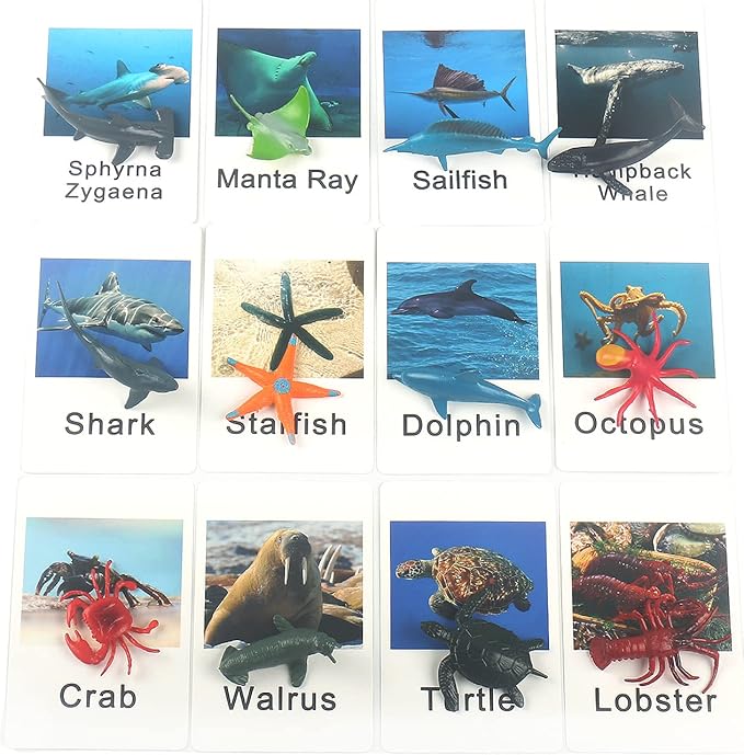 MEROCO Montessori Animal Match Game Cards Marine Animal Matching Montessori Language Materials Toddlers Preschool Educational Learning Toys NEWT011