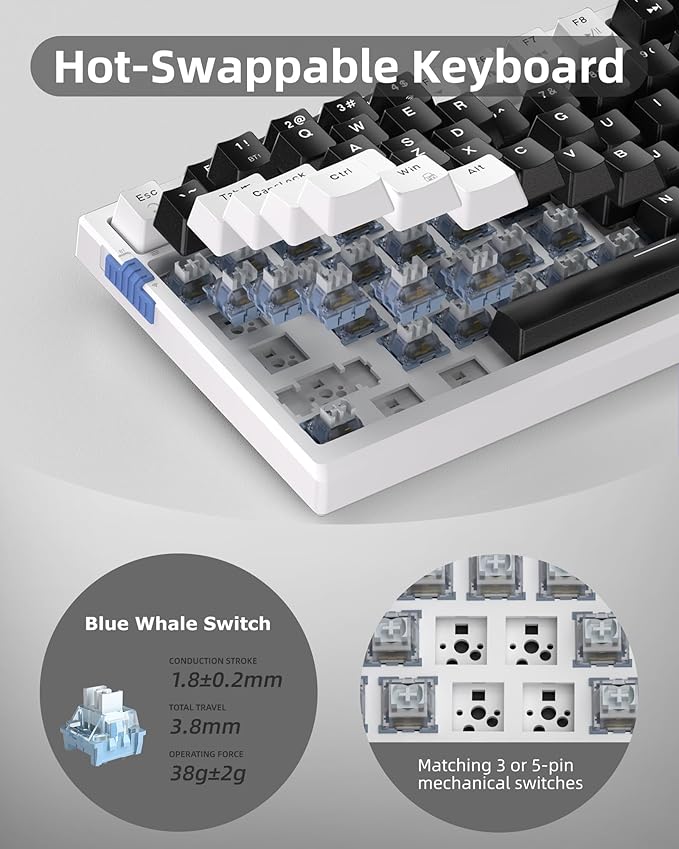 MageGee SKY81 75% Wireless Gasket Mechanical Gaming Keyboard, Hot Swappable RGB Custom Creamy Keyboard w/ 5-Layer Padding, BT/2.4G/USB-C, Knob Control, NKRO for Win/Mac (Mecha, Blue Whale Switch)