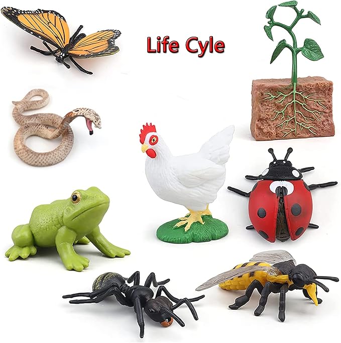 Montessori Animal Match Game Cards Marine Animal Matching Montessori Language Materials Toddlers Preschool Educational Learning Toys Language Materials Shape Sorting Toy