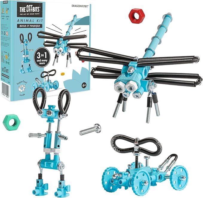 Dragonfly Toy Erector Set, Educational Build Your Own Robot Animal Stem Toys for Boys and Girls, 60+ Pcs Engineering Kit Construction Toys Steam Gifts for Kids 6 7 8 9+ Year Old