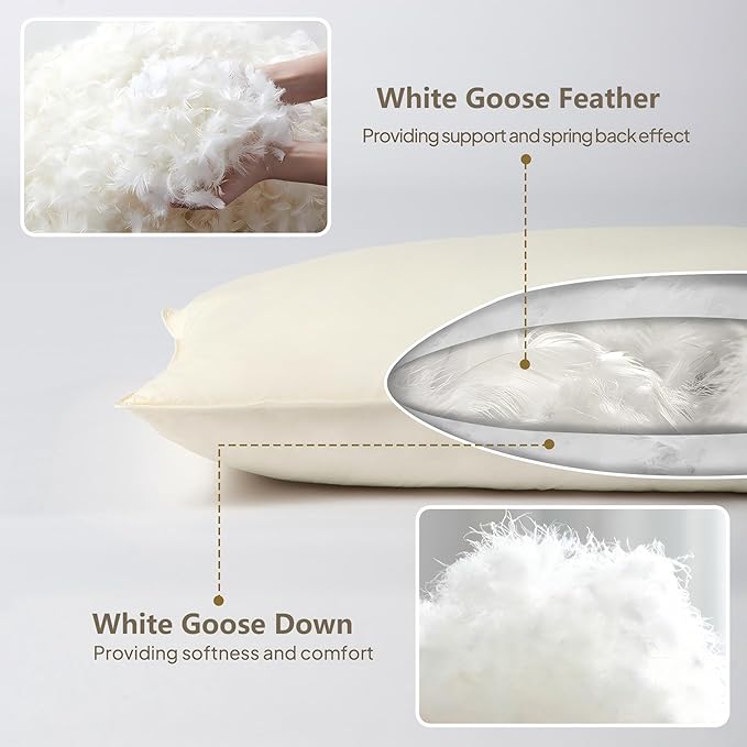Goose Down Body Pillows for Adults, Large Body Pillow for Side Sleeper, Hugging Feather Body Pillow Insert, Cooling Full Length Long Pillow for Bed with 100% Organic Cotton Shell, (Beige 20"x72")