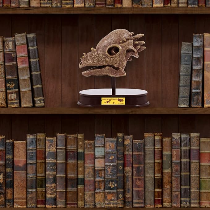 ArtCreativity Dinosaur Excavation Kit for Kids, 5.5” Pachycephalosaurs Skull Excavating Set with Fossil Digging Tools and Stand, Fun Science Activity Toy, Educational Dinosaur Gift for Boys and Girls