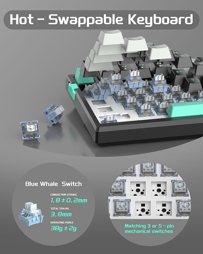 MageGee SKY81 75% Mechanical Gaming Keyboard, Gasket Hot Swappable Wired Custom Creamy Keyboard with 5-Layer Sound Dampening, Knob Control, RGB Backlit, NKRO for Win/Mac (Dark Elf, Blue Whale Switch)