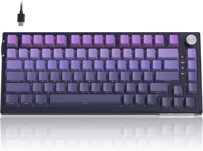 MageGee SKY81 75% Mechanical Gaming Keyboard, RGB Hot Swappable Wired Custom Creamy Keyboards with 5-Layer Sound Dampening, Knob, Side Printed Keycaps for Win/Mac (Dark Purple, Blue Whale Switch)
