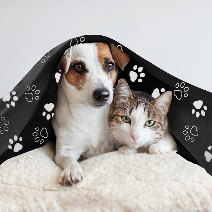 CAI TENG Fleece Throw Blanket Blankets for Couch Bed 50x60 inch 6 Pack Kids Blanket Throws Fleece Fabric Soft Cozy Travel Blankets Lightweight Small Throws Camping Gifts Blankets Black Dog Paw