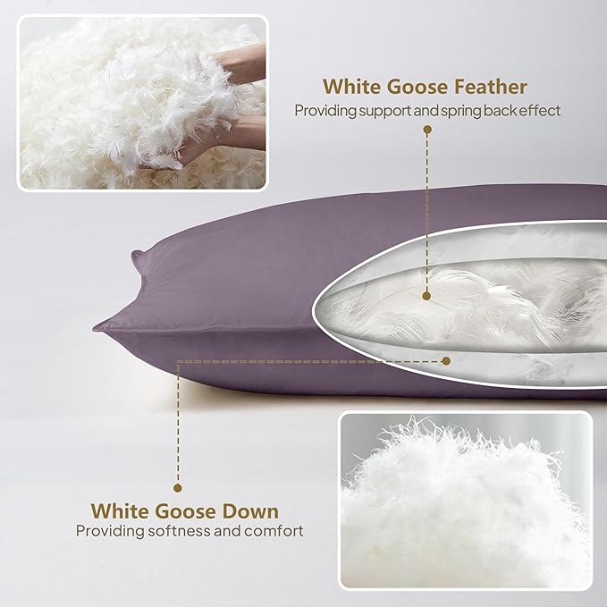 Goose Down Body Pillows for Adults, Large Body Pillow for Side Sleeper, Hugging Feather Body Pillow Insert, Cooling Full Length Long Pillow for Bed with 100% Organic Cotton Shell, 20"x60" Blackcurrant