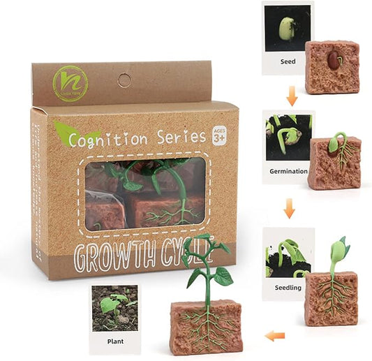 Montessori Animal Match Game Cards Marine Animal Matching Montessori Language Materials Toddlers Preschool Educational Learning Toys Language Materials Shape Sorting Toy